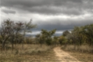 Scenery - Road - HDR 03